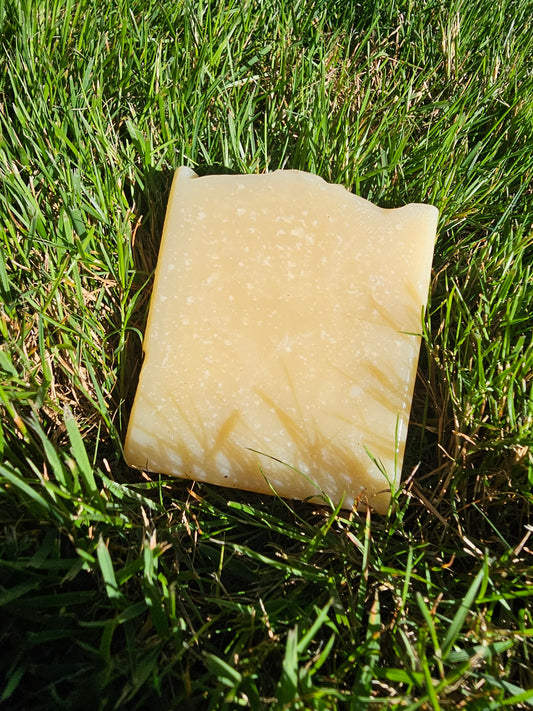 Pale golden Bare Veil Goat Milk Soap bar, Jenny’s Favorite, resting in sunlit grass.